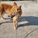 수야농장 이미지