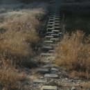 횡성 호수길 1구간 이미지