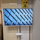2743 | 무빙 109cm 4K UHD 화이트 구글 5.0 스마트 TV CP43G5W + 이동식 스탠드 PL2743 / 삼탠바이미 구매 후기