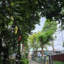 문토스트 함양점 | 치앙마이 7일차 숙소 추천 Nature Boutique Hotel, Khao-soi Arak, 롯총(Lod chong), 마사지샵 추천...