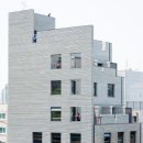 맹그로브숭인