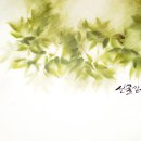 선물같은 하루 이미지