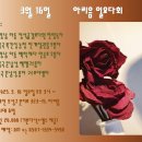아리음 이미지
