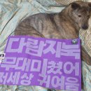 국민가수 탑10/국텐 (국가단) 전국 콘서트 공연장별 시야 후기