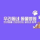 코루레(Korure) 이미지