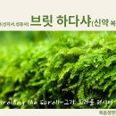 36주(6/3-수)＜브릿 하다샤＞-"베하알로테카"(고전10:6-13,계11:1~19,마14:14~21)(신약 복음서읽기) 이미지