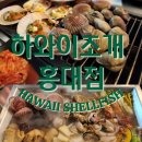 양군조개구이 | 홍대 하와이조개 푸짐한 니가가라하와이세트 와 산낙지 소라숙회 내돈내먹 후기