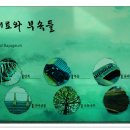 우륵박물관 이미지