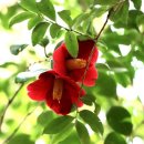 길 부동산중개 이미지