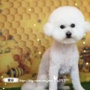 러블리몽슈