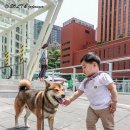 서울볼트