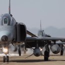 엘리펀트 이미지