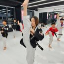 품 태권도 이미지