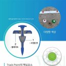 라인풀