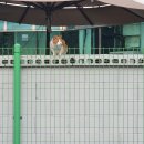 십정종합시장(열우물전통시장) 이미지