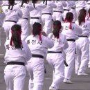 KOREA 태권도 이미지