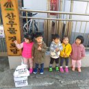 상어경로당 이미지