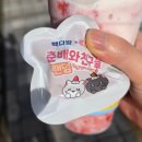 빽다방 춘배 키캡 키링 랜덤 콜라보 굿즈 후기, 할인 방법!