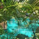 39 | 치앙마이 반캉왓 근처 뷰 좋은 NO.39 카페 솔직 후기