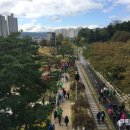 포항철길숲 이미지