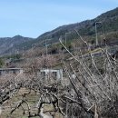 박재현 컨설팅 행정사사무소 이미지