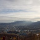 한상태농장 이미지