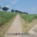 (주)성용
