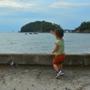 서해바다 이미지