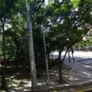 푸르미어린이집 - 안산시 단원구 | 푸르미어린이집