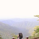 야시대로 이미지