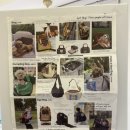 미미애견 이미지