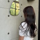 파스쿠찌판교도서관점