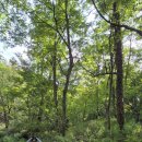 용천어린이공원 이미지