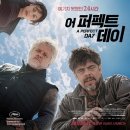 퍼펙트데이