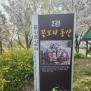 꽃보라동산 이미지