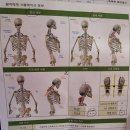 구의동자세교정 똑똑한몸만들기 체형교정PT구의광장점 자세교정 후기