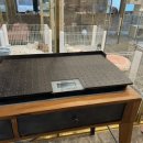 애옹애몽 이미지