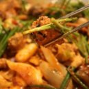 독스캣 강아지고양이 수원점 이미지