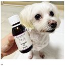 이쁘다 멍 네이버블로그