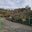 산삼과흑염소