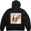 순진한 강아지 이미지