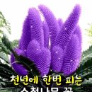 안녕커피 - 창원시 진해구 안골로298번길 26 | 안녕커피