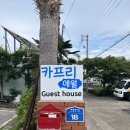 카프리애월민박 | 제주 게스트하우스 카프리애월 민박 오마카세 파티 1박2일 숙박 찐솔직후기