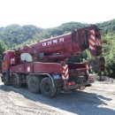 서짓골(2013년) 이미지