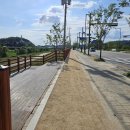 건강의향기 이미지