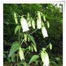 규암초등학교-4 이미지