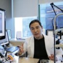 백내장∙노안(老眼)수술, 이것만은 알고 하자 이미지