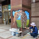 크로앙스 이미지