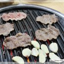 알파카프라자 네이버블로그