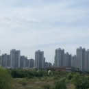 도시의꿈 이미지